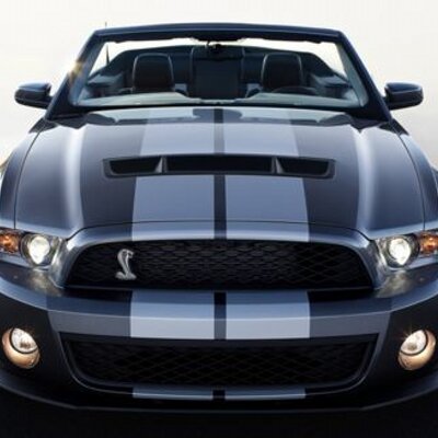 Profile Picture of Robyn Rapp (@Rappbird) on Twitter