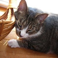 Profile Picture of Joe Godby (@joe-godby) on Quora