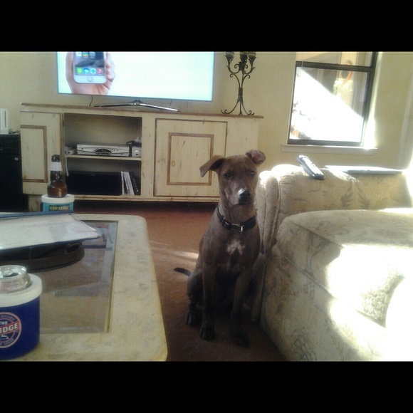 Profile Picture of Lori Prausa (@laprausa) on Poshmark