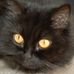Profile Picture of Jeanne Key (Fulford) (@jeanne.key.5) on Facebook