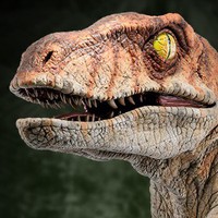 Profile Picture of Caleb Dowdy (@caleb-dowdy-8) on Quora