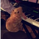 Profile Picture of Kenneth Macneil (@capyawardwinningbara) on Instagram