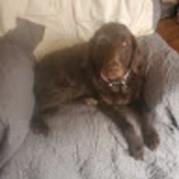 Profile Picture of Lovellsin Lovellsin (@raytay92street) on Poshmark