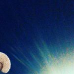 Profile Picture of Brooke Rust (@rust.brooke) on Instagram