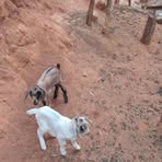 Profile Picture of Benjamin Maita (@Benjamin-Maita) on Facebook