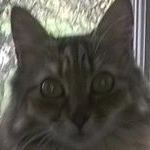 Profile Picture of Pamela Jarman (@jarman37) on Instagram