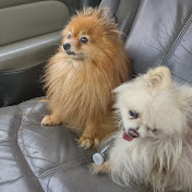 Profile Picture of Lisa Bryan (@lisabryan4671) on Youtube