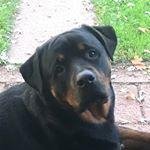 Profile Picture of Matthew Heikkila (@gavinsinjep1) on Instagram