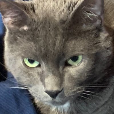 Devin Ruiz - Twitter Profile Picture of Devin Ruiz (@dmoney_______7) on Twitter