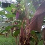 Profile Picture of jesus alirio ramirez gomez (@jesusaliriorami) on Instagram