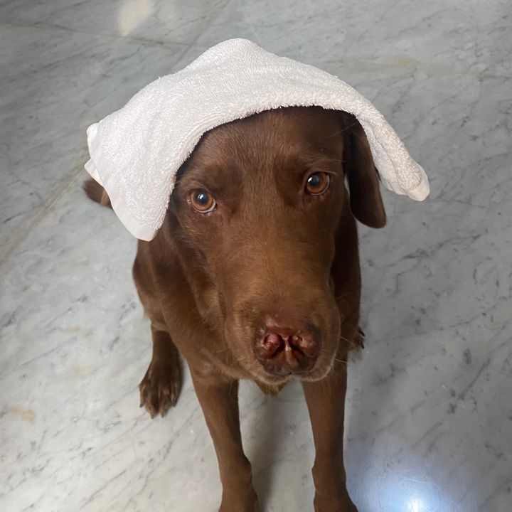 Profile Picture of stephanie (@stephunyuns) on Tiktok