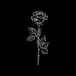 Profile Picture of 𝐉𝐞𝐬𝐬 | 𝐑𝐨𝐦𝐚𝐧𝐜𝐞 𝐑𝐞𝐚𝐝𝐞𝐫 (@jessromanceread) on Instagram