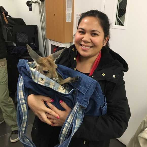 Profile Picture of Jamie Knapp (@pchichibu) on Poshmark