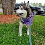 Profile Picture of jenna Reitz (@jennalreitz) on Instagram