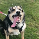 Profile Picture of Caz 'Echo' Bennett Calaguas (@echocaz) on Instagram