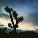 Profile Picture of joshua higbee (@joshuamichael_music) on Instagram