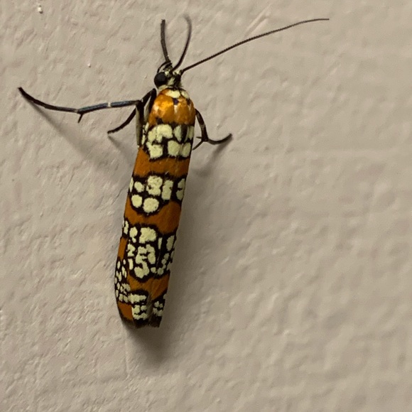 Profile Picture of Ana Hartinger (@anahartin) on Poshmark