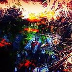Profile Picture of Jimmy Griffey (@86dnr) on Instagram