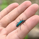 Profile Picture of Vivek Bhat (@vivekbhat) on Flickr