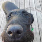 Profile Picture of John Johansmann (@john.johansmann) on Facebook