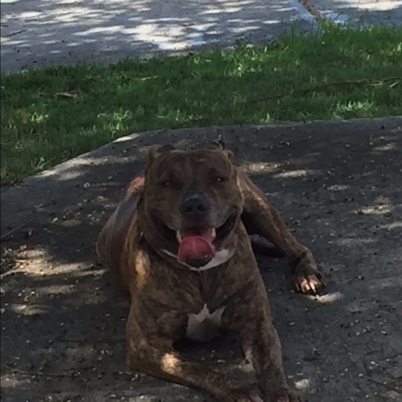 Profile Picture of Steve Nobles (@coachnobles1) on Poshmark