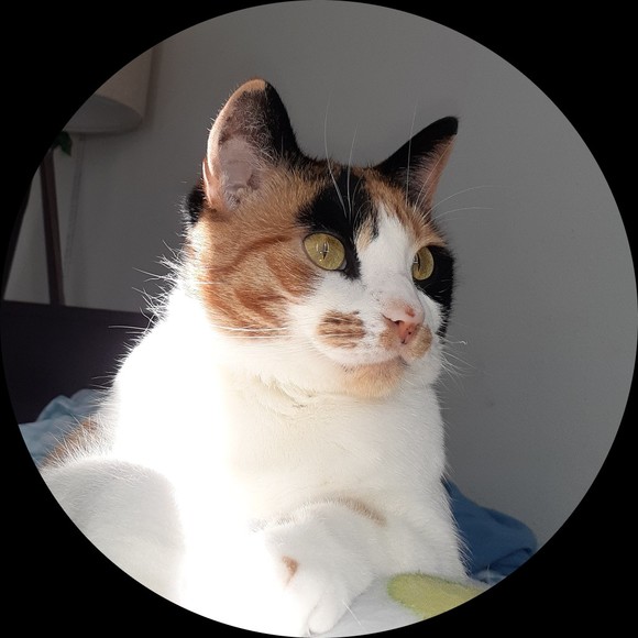 Profile Picture of Kaylyn Ciardullo (@kaylyn_cia) on Poshmark