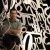 Profile Picture of Andrew Balham (@abalham) on Pinterest