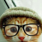 Profile Picture of Laurie Joseph (@lalaj1123) on Youtube