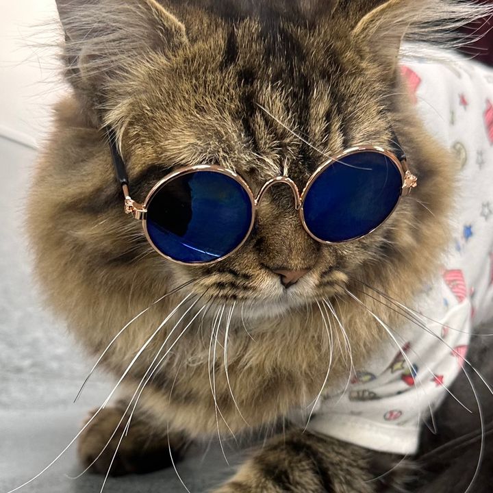 Profile Picture of kalThefairi (@kalthefairi) on Tiktok