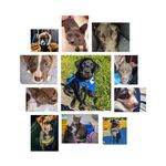 Profile Picture of Sabrina Wade (@foster_mama22) on Instagram