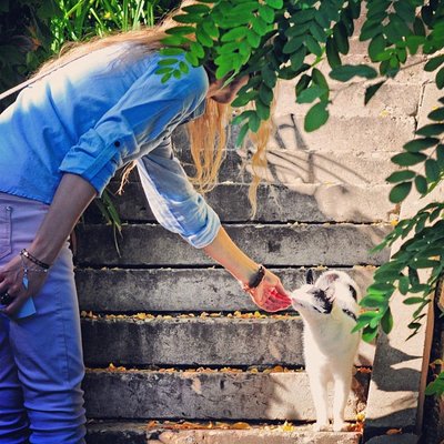 Profile Picture of Constance Olson (@outlandishco58) on Twitter