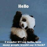 Profile Picture of Nancy Chismar (@nancychismar) on Instagram