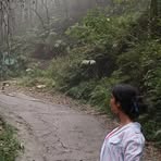 Profile Picture of Manjula Thakur (@manjula.thakur.3194524) on Facebook