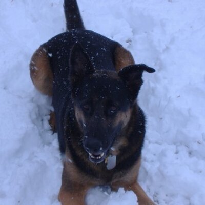 Mike Struckman - Twitter Profile Picture of Mike Struckman (@tubby131313) on Twitter