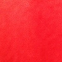 Profile Picture of Darlene Mellott (@darlene-mellott-2) on Quora