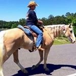 Profile Picture of Alice Mcmullin (@alicemcmullin) on Instagram