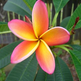 Profile Picture of Talita Gorton (@talita.gorton) on Facebook