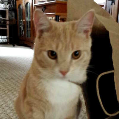 Profile Picture of Dan Harsh (@Drh2014H) on Twitter