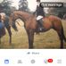 Profile Picture of Lorraine Harlock (@lorraine.harlock.7) on Facebook