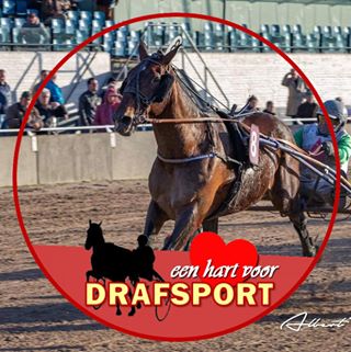 Profile Picture of Kris Dekoninck (@kris.dekoninck.92) on Facebook