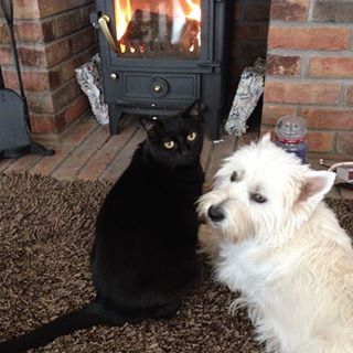 Profile Picture of Gail Read (@Gail-Read) on Facebook