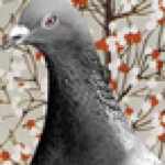 Profile Picture of Steve Wright (@pigeonprince) on Instagram