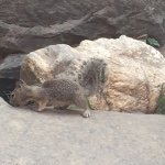 Gohome - Instagram Profile Picture of Gohome (@johndoey143) on Instagram