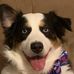 Profile Picture of Mark Messinger (@mark.messinger.1) on Facebook
