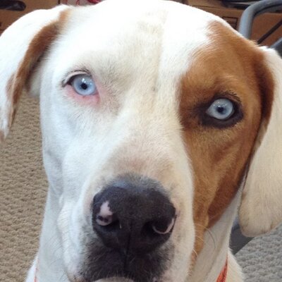 Profile Picture of John H. Pruett (@JohnHPruett) on Twitter