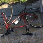 Profile Picture of Dee Bean (@bean.dee) on Instagram