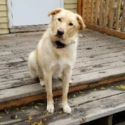 Profile Picture of Matt Dunbar (@Suriyawong1) on Youtube