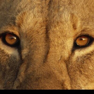 Profile Picture of Janet Towne (@JanTowne) on Twitter