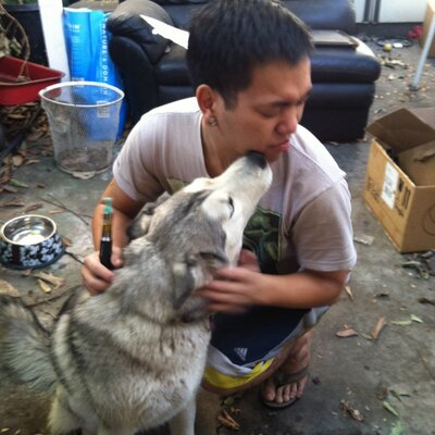 Profile Picture of Christopher Huynh (@Hawktails3) on Twitter