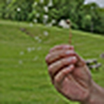 Profile Picture of Jeff Carpenter (@jeffcarpenteraudio) on Flickr